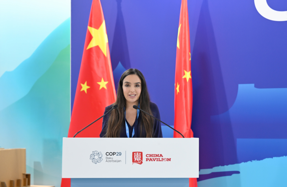 Heyder Eliyev Fondunun vitse-prezidenti Leyla Eliyeva Cin pavilyonunda teskil olunan panelde istirak edib