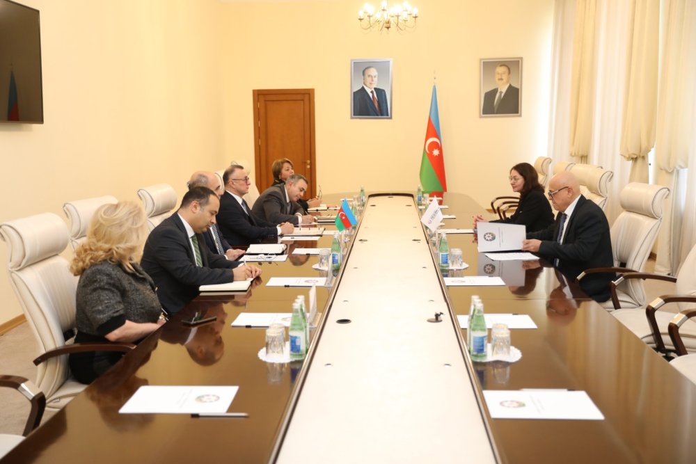 Sehiyye Nazirliyi ile Qlobal Fond arasinda emekdasliq muzakire edildi (FOTO)