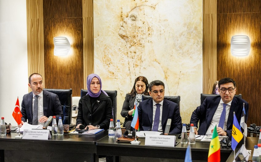 Feid Qayibov COP9-un Buro Iclasinda istirak edib