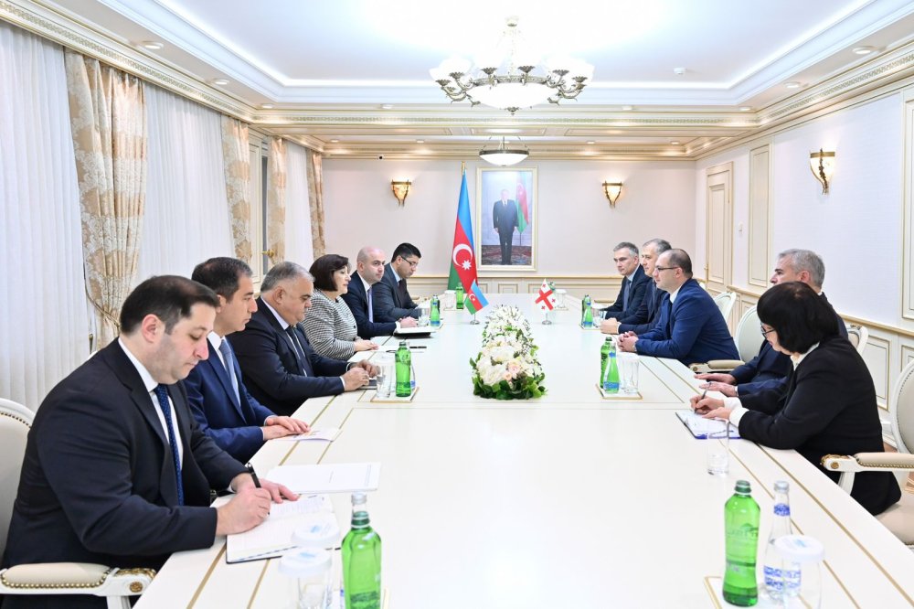 Sahibe Qafarova gurcu deputatlarla gorusdu - FOTO
