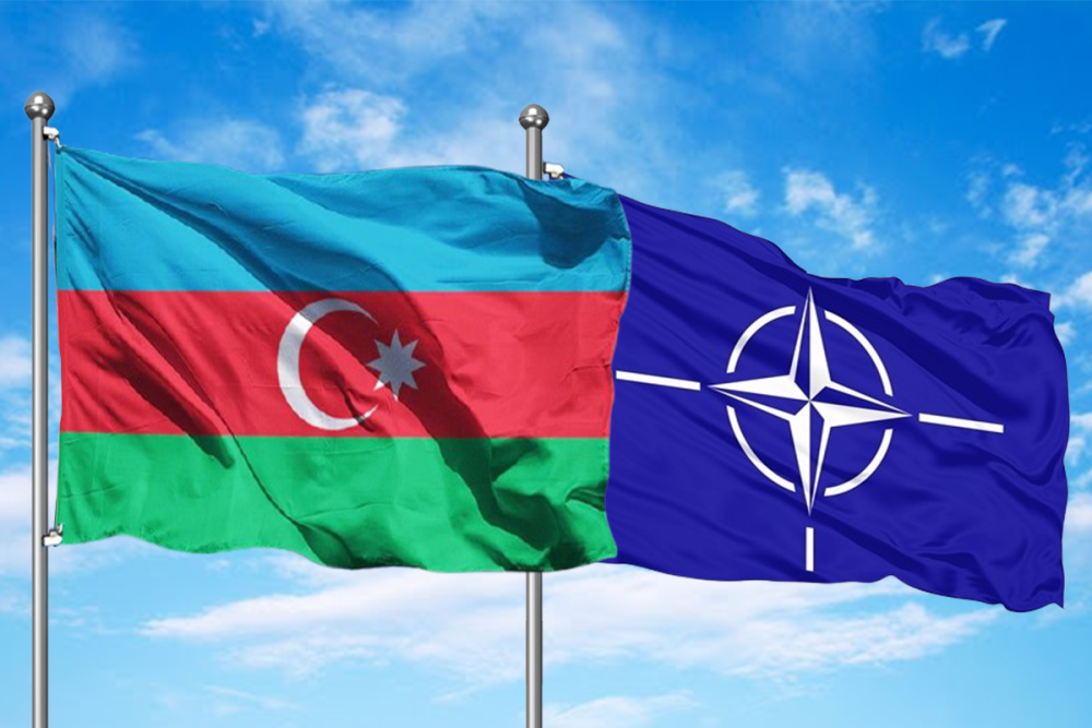NATO: Teyyare qezasinin sebeblerini herterefli arasdirmaga cagiririq