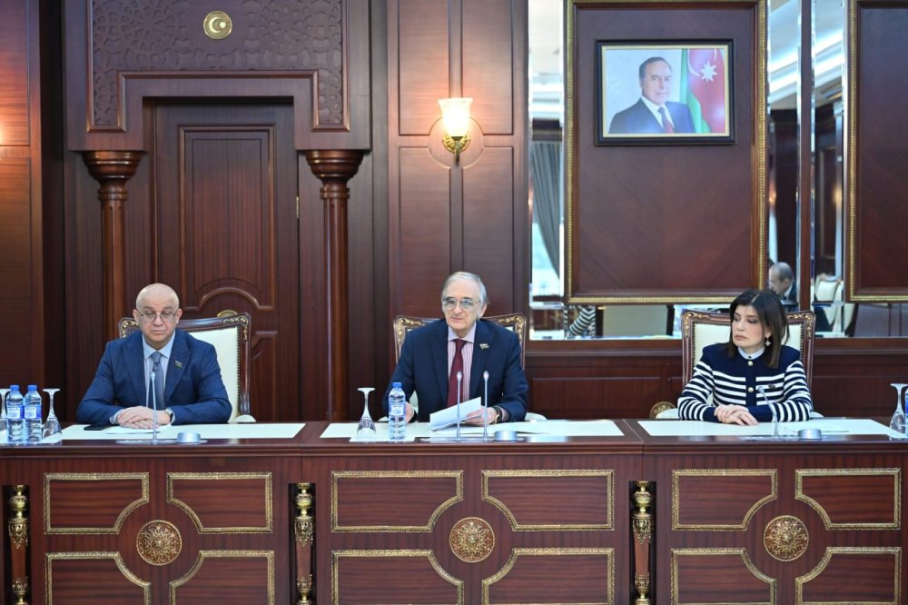 Medeniyyet komitesi bir sira qanun layihelerinin plenar iclasda muzakireye cixarilmasini teklif edib (FOTO)
