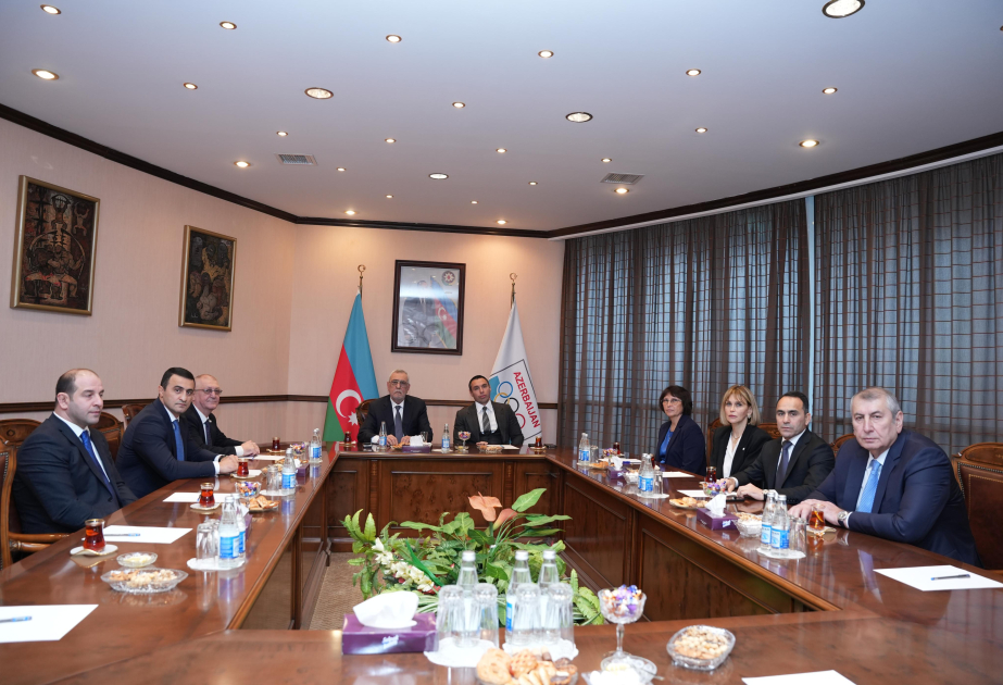 Azerbaycan Milli Olimpiya Komitesinin vitse-prezidentleri secilib