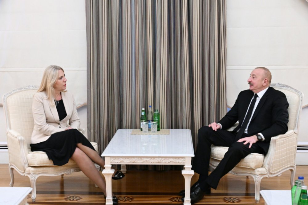 Prezident Ilham Eliyev Bosniya ve Herseqovinanin Reyaset Heyetinin Sedri ile gorusub
