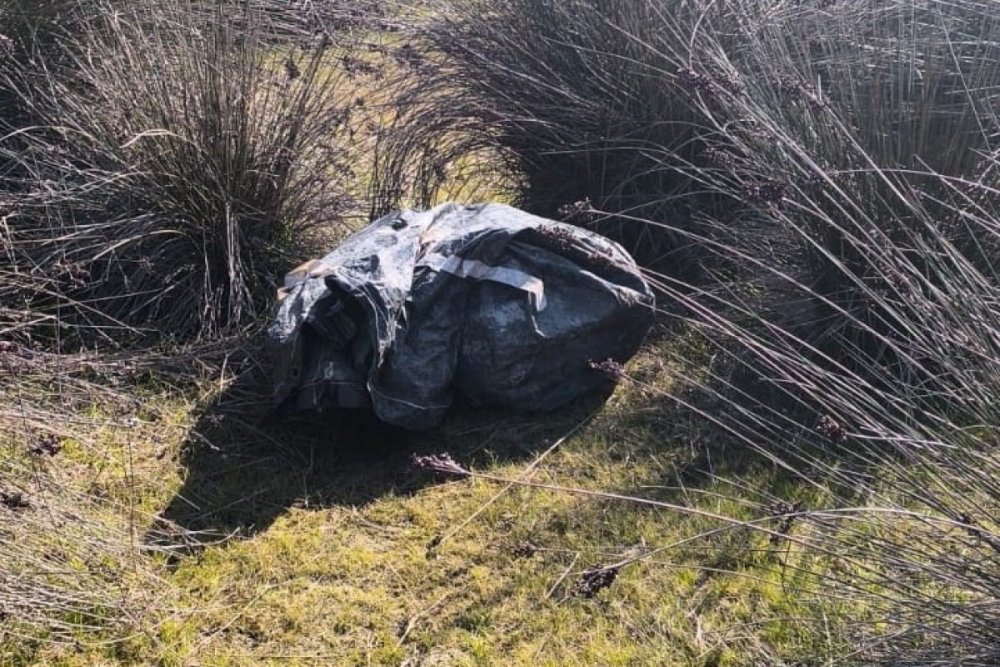 Xezerde baliqcilarda 10 kq narkotik askarlanib - FOTO