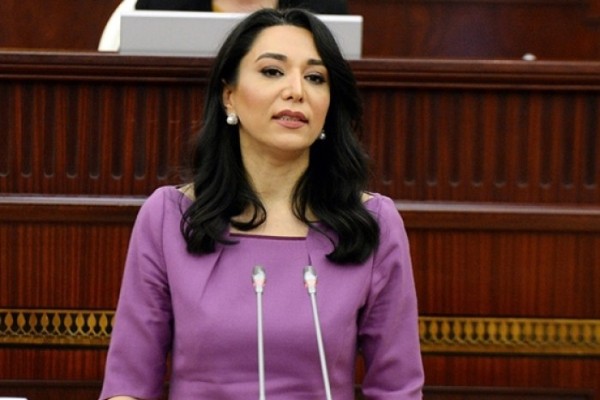 Ombudsman sabah Milli Meclisde hesabat verecek