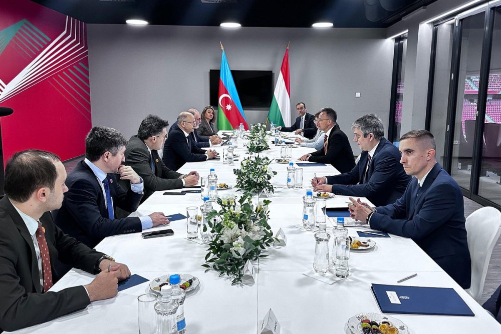 Azerbaycan ve Macaristan Avropada enerji tehlukesizliyi meselesini muzakire edib