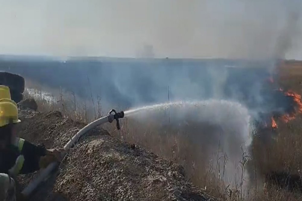 Sederekle serhedde Ermenistan terefinden toredilen yangin sondurulub - VIDEO