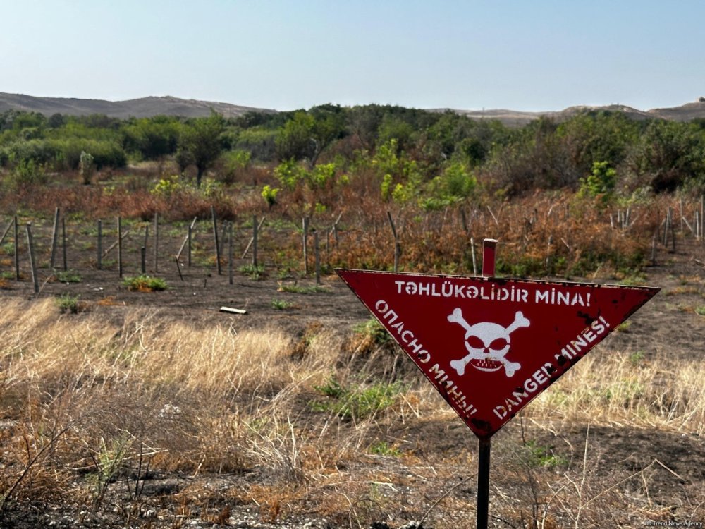 Oten hefte azad edilmis erazilerde daha 98 mina askarlanib
