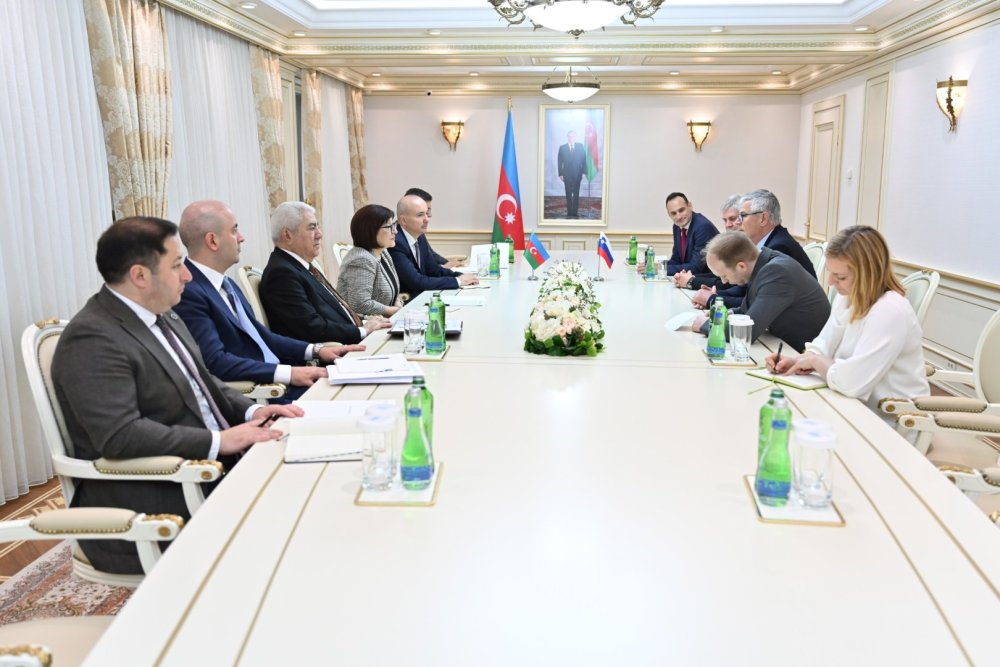 Azerbaycan ve Sloveniya arasinda iqtisadi elaqelerin inkisafi ve qarsiliqli ticaretin genislendirilmesi muzakire edilib
