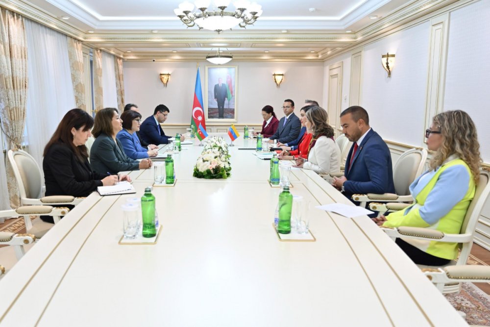 Sahibe Qafarova Venesuela Milli Assambleyasinin sedr muavini ile gorusub