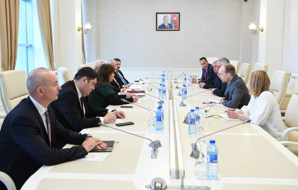 Azerbaycan - Sloveniya bir cox sahelerde elaqelerin inkisaf etdirilmesine dair fikir mubadilesi aparib