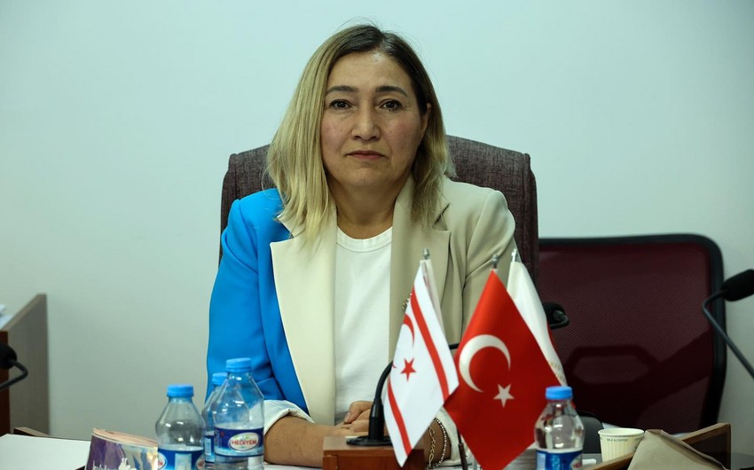 Simali Kipr numayendesi turk dovletlerine muraciet edib