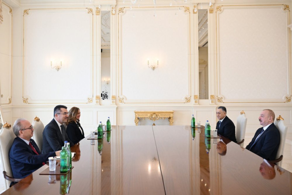 Prezident Ilham Eliyev Turkiye Milli Tehlukesizlik Surasinin Bas katibini qebul edib