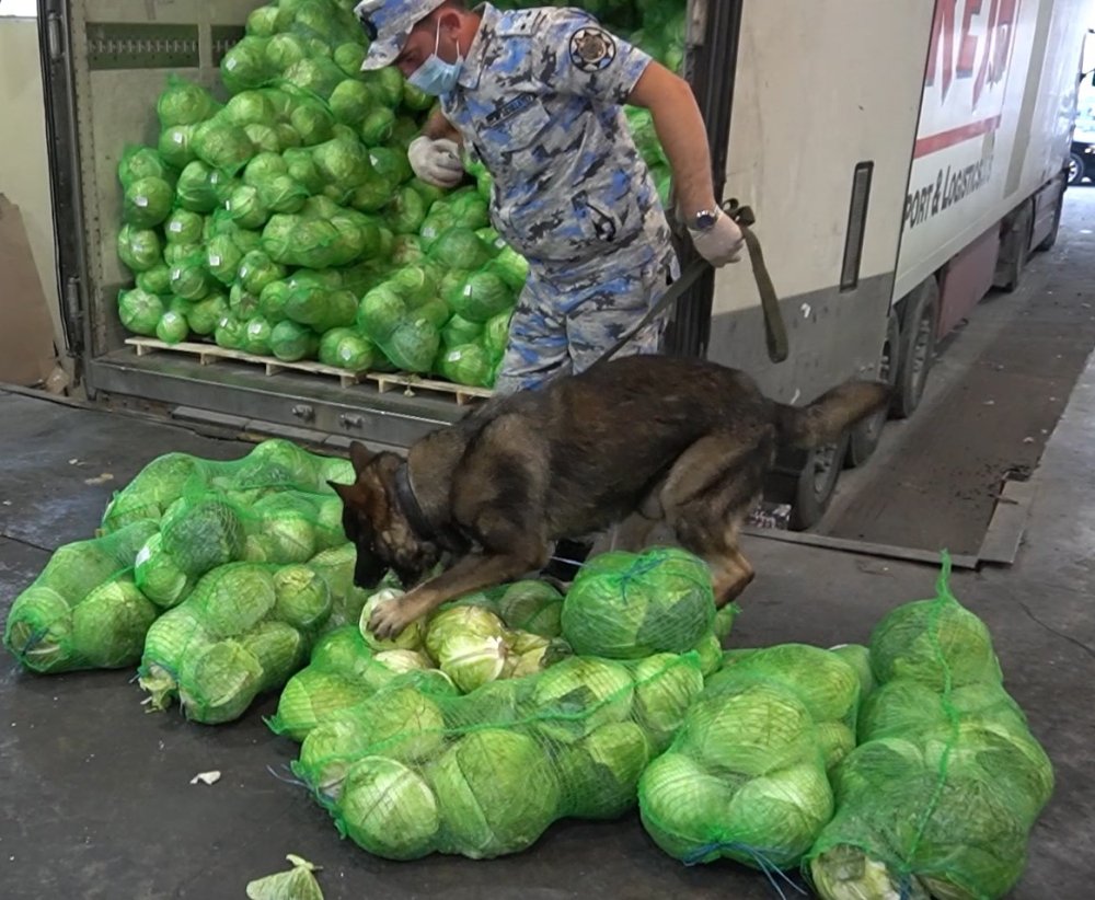 Astarada kulli miqdarda narkotik vasite askar edildi