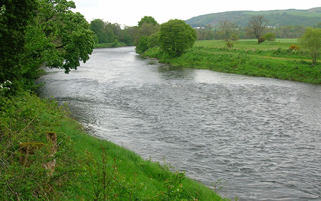 Arazda batan azyaslinin meyiti tapildi
