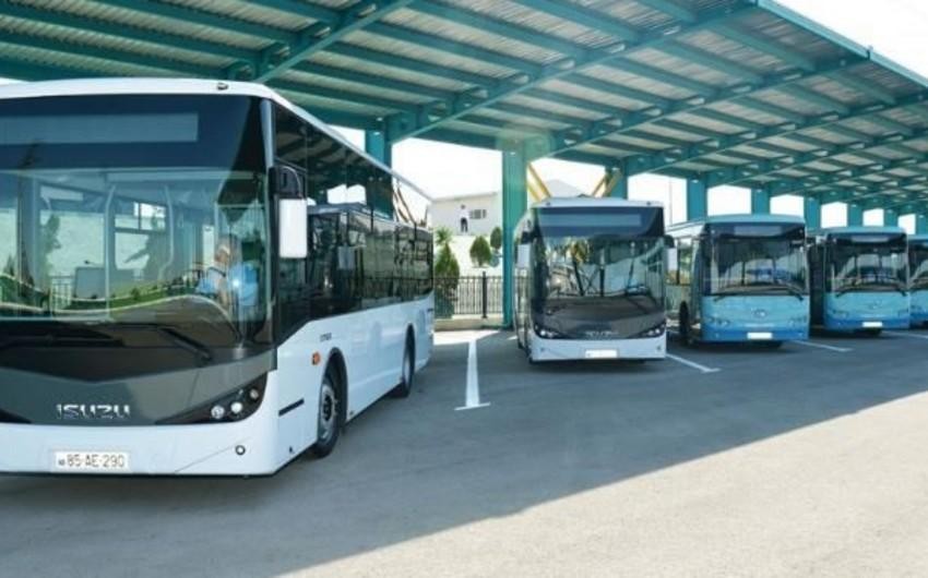 AYNA: Avtobus marsrutlarina onlayn bilet satisi 2 defeye yaxin artib