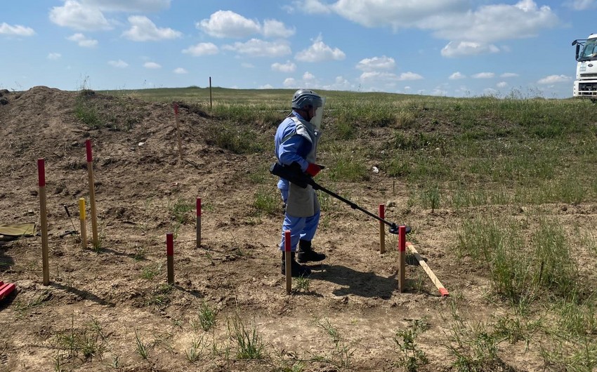 Oten hefte 1362.7 ha erazi minalardan temizlenib