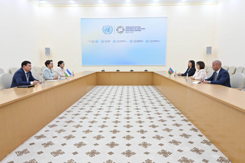 Sahibe Qafarova Turkmenistanda Ozbekistan Ali Meclisi Senatinin sedri ile gorusub (FOTO)