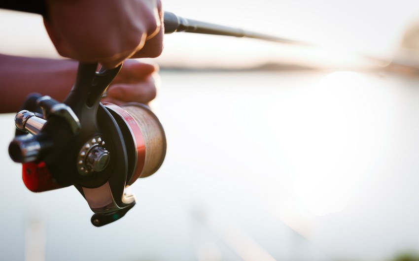 Azerbaycanda sentyabrin 1-den baliq ovuna icaze verilecek