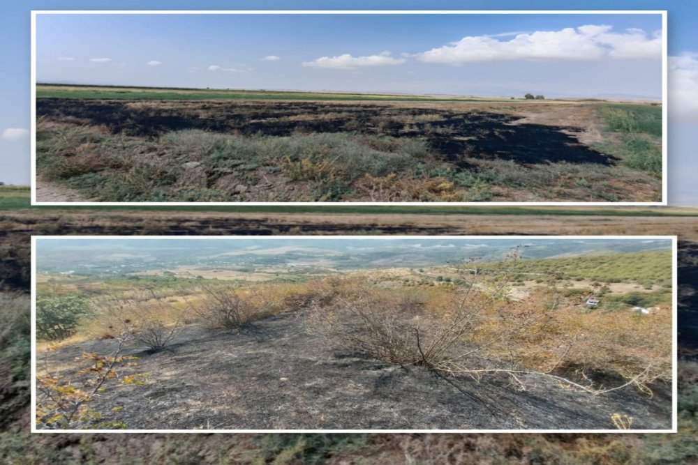 Fuzuli ve Xocavendde yangin toreden sexsler cerimelenib