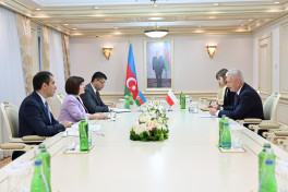 Sahibe Qafarova Polsanin Azerbaycandaki sefiri ile gorusub