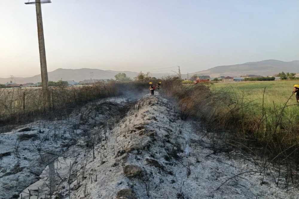 Dovlet Xidmeti Agsuda qesden yangintoretme faktinin ustunu acib