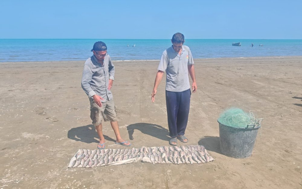 Novxanida qanunsuz baliq ovuna qarsi reyd kecirildi