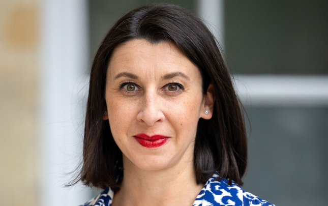 Fransanin yeni sefiri Azerbaycanlilara muraciet etdi