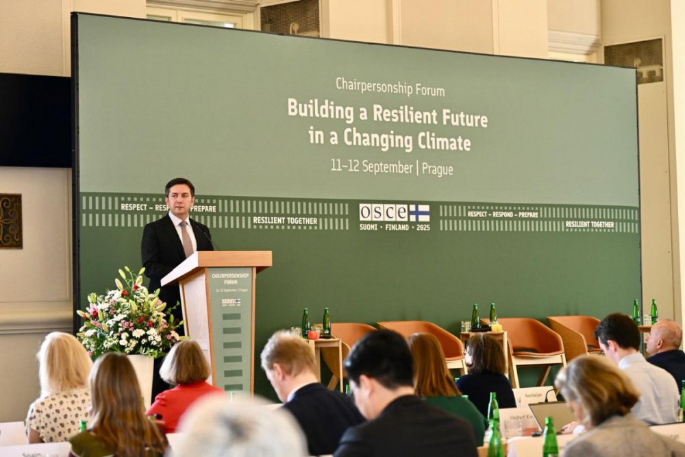 Yalcin Refiyev Cex Respublikasina sefer edib