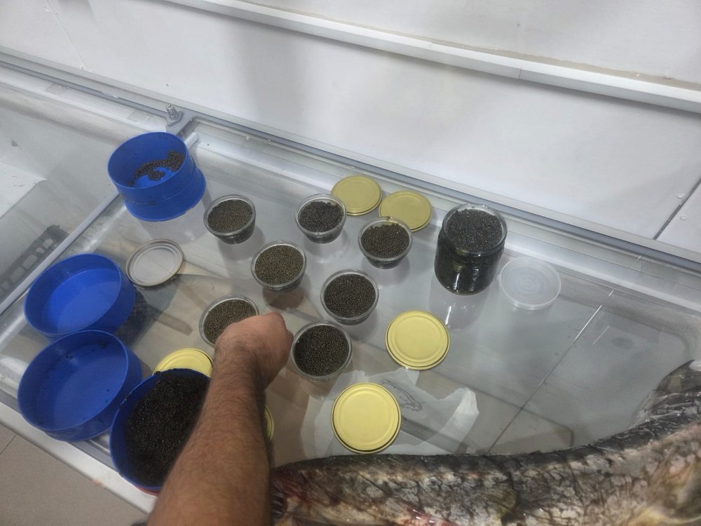 Sosial sebekeler vasitesile qanunsuz nere baligi ve kurusu satan sexslerle bagli reydler davam edir