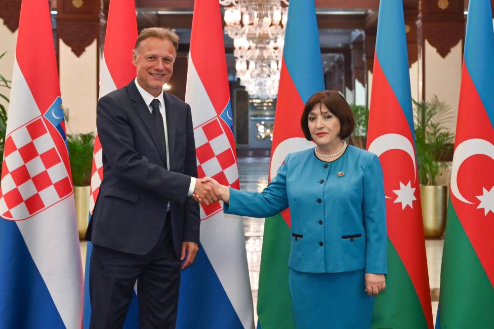 Sahibe Qafarova Xorvatiya parlamentinin sedri ile gorusub