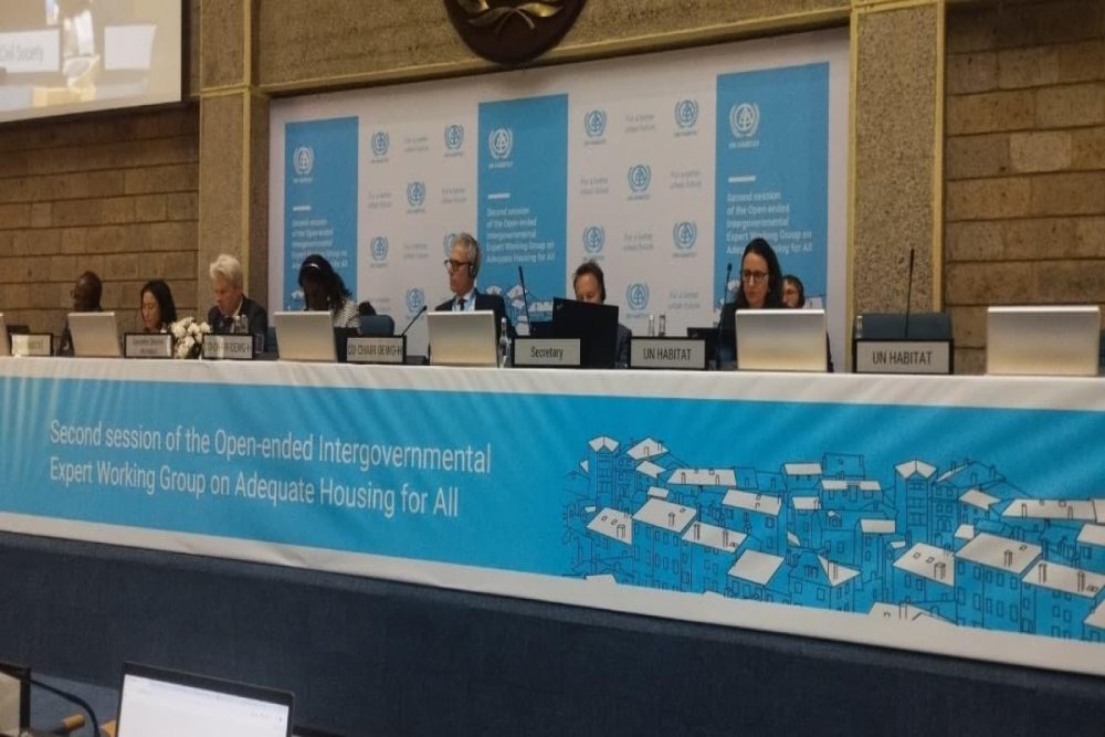 Azerbaycan BMT-nin Hokumetlerarasi Isci Qrupunda hemsedr secilib