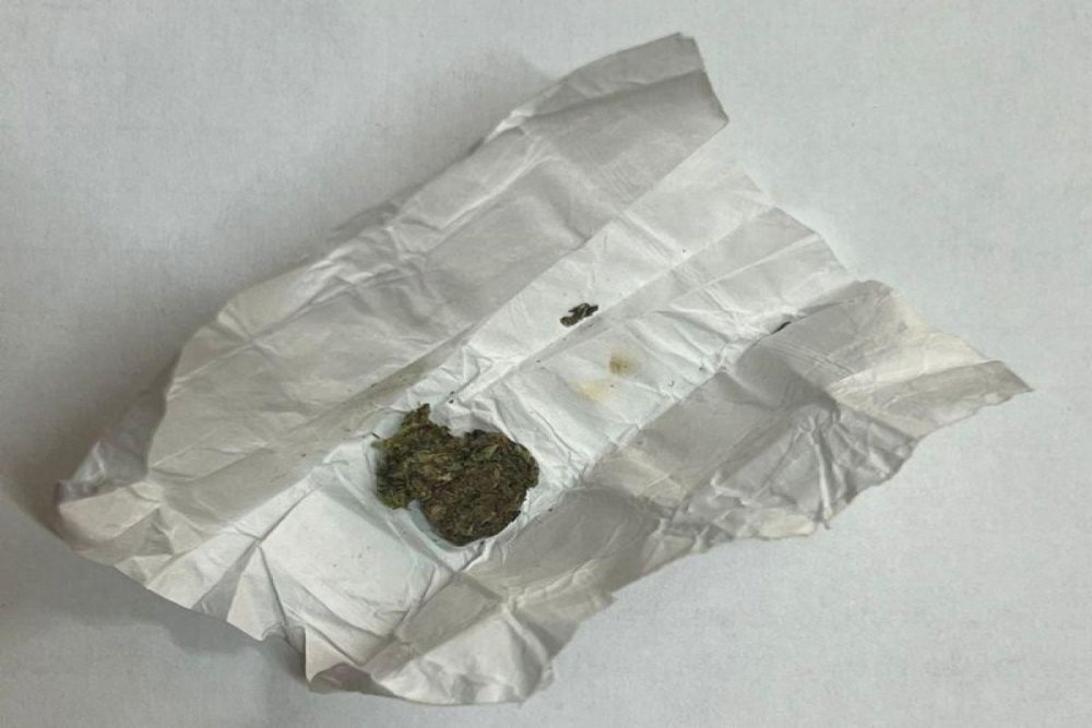 Doqquz ayda narkotikle bagli 6516 cinayet fakti askarlanib