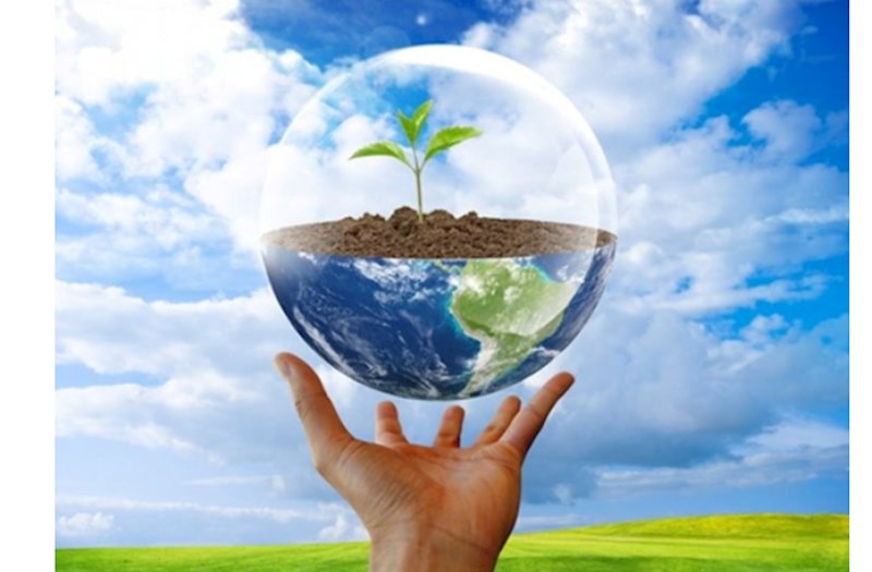 Azerbaycanda yeni teskilat yaradildi