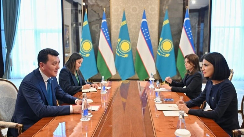 Seide Mirziyoyeva Karinle gorusdu