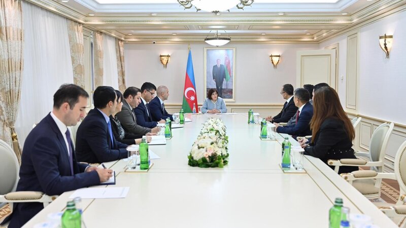 Sahibe Qafarova TURKPA numayende heyeti ile gorusdu