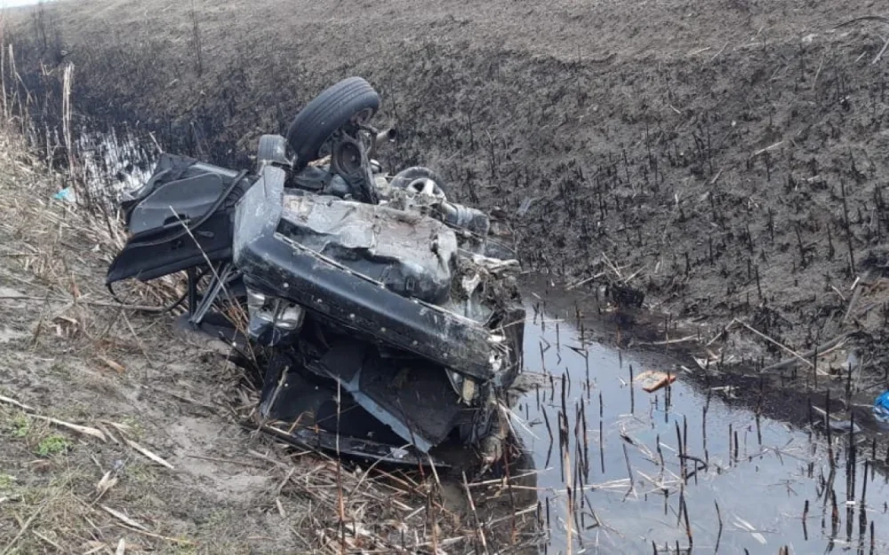 Goycayda masin kanala asdi - Olen var