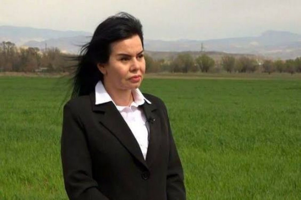 Naxcivanda nazir muavini vezifeden cixarilib