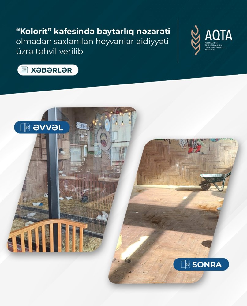 Bakida kafede baytarliq nezareti olmadan saxlanilan heyvanlar goturulub