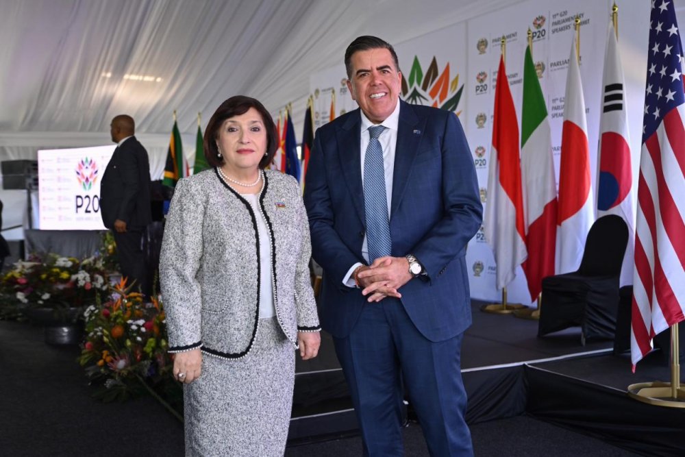 Sahibe Qafarova CAR-da bir sira gorusler kecirib