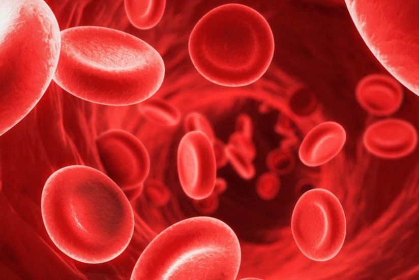 Azerbaycanda qan tehlukesizliyinde NAT Texnologiyasinin tetbiqine baslanilib