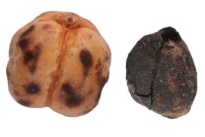 Qedimden bu gune qeder gelen Turkiye corek irsi – Fotolar