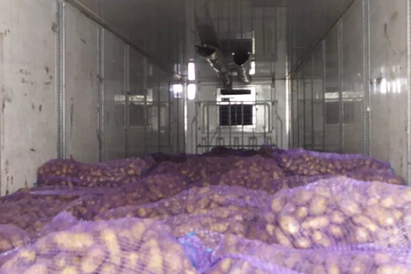 Gurcustandan Azerbaycana getirilen kartofda parazitler askarlanib