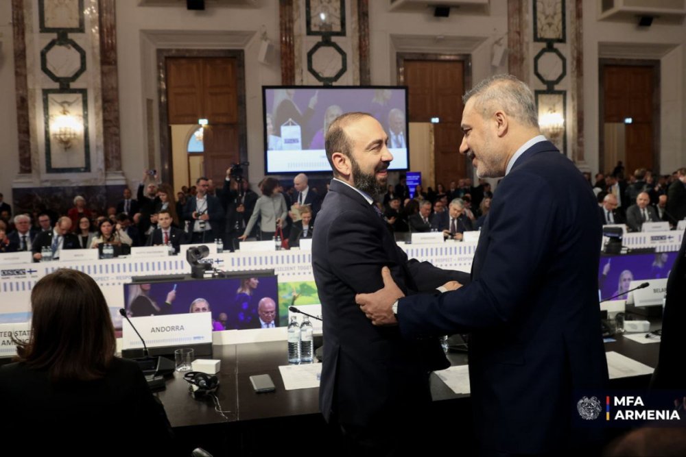 Mirzoyan Vyanada Hakan Fidanla gorusub